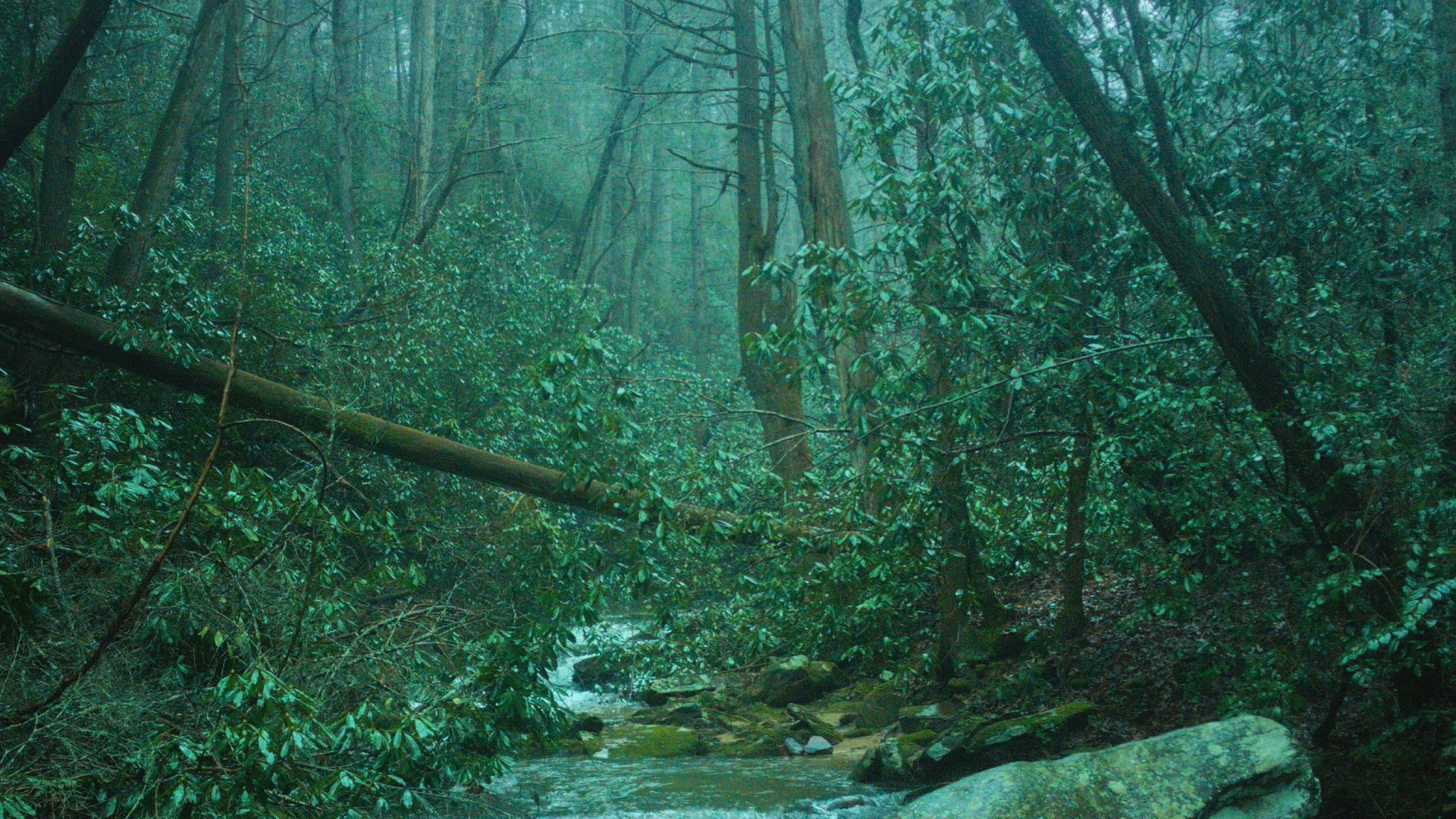 Paisaje de Meditación respiratoria